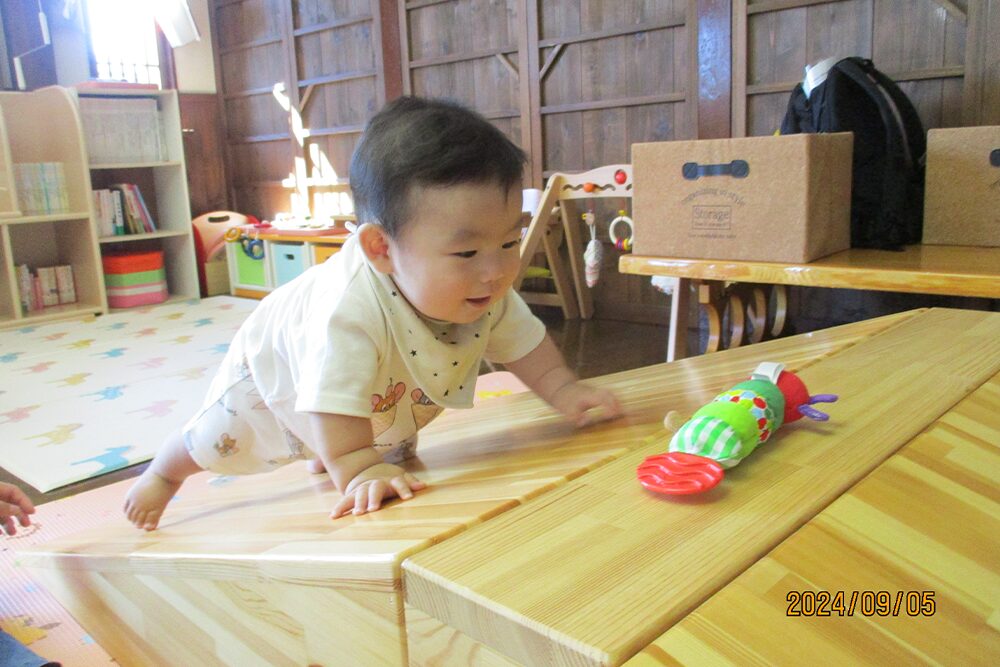 スペシャルデー